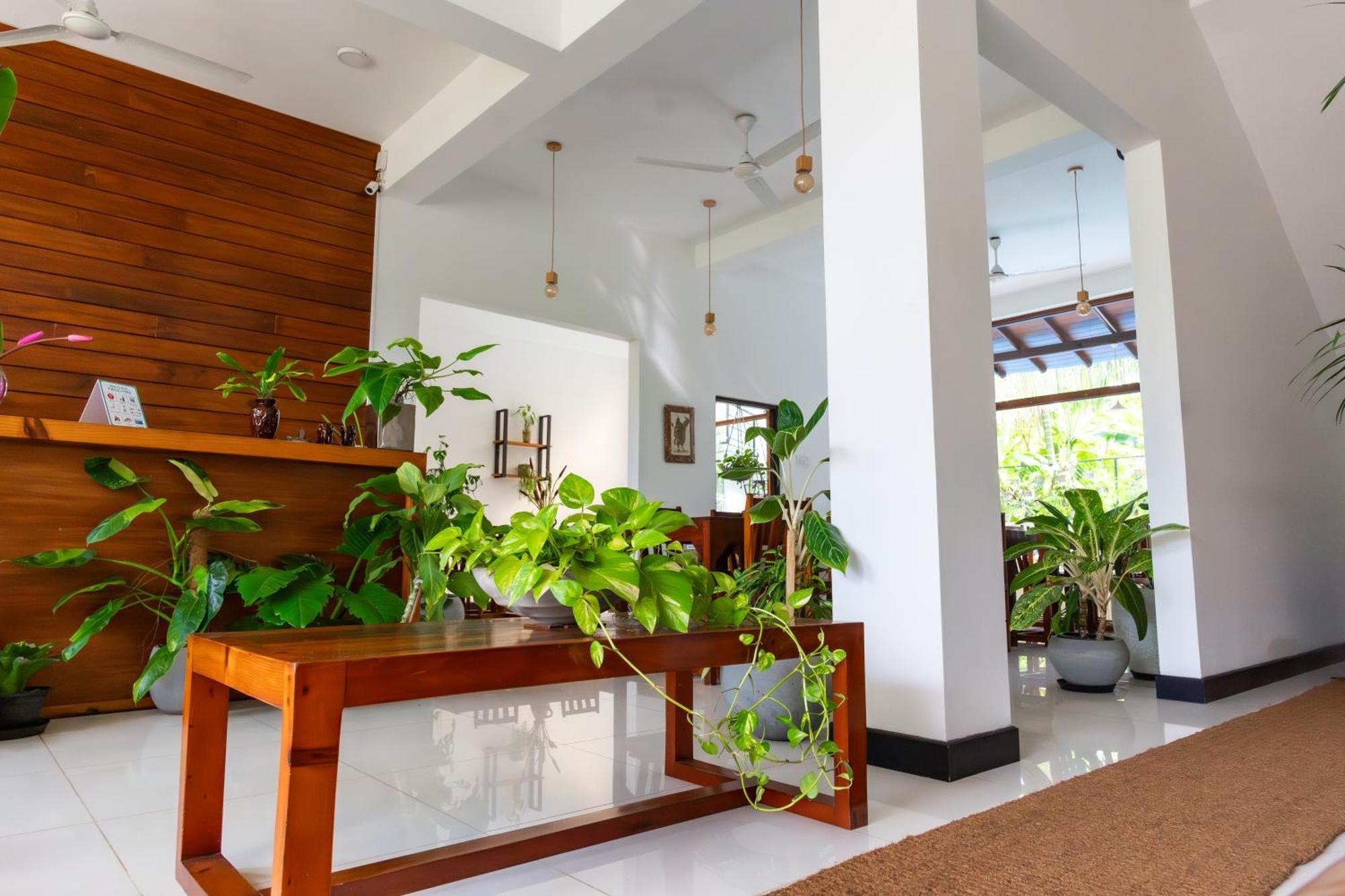 Hotel Sea Cloud Unawatuna Zewnętrze zdjęcie